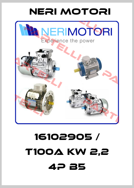 16102905 / T100A KW 2,2 4P B5 Neri Motori