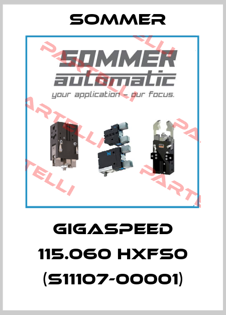 GIGAspeed 115.060 HXFS0 (S11107-00001) Sommer