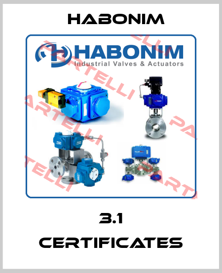 3.1 Certificates Habonim