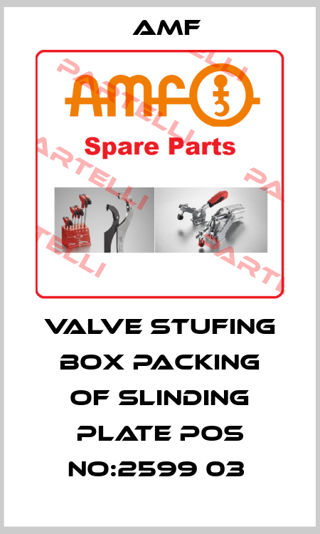 VALVE STUFING BOX PACKING OF SLINDING PLATE POS NO:2599 03  Amf