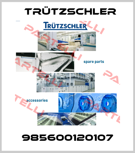 985600120107 Trützschler
