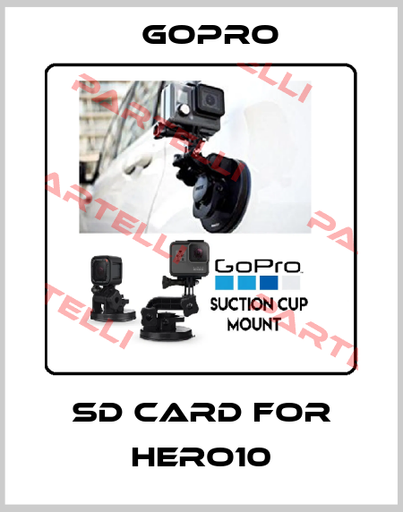 SD Card for HERO10 GoPro