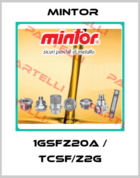 1GSFZ20A / TCSF/Z2G Mintor
