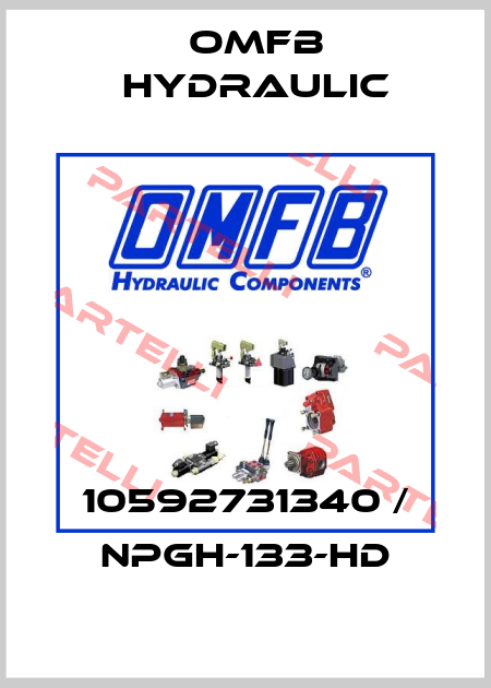10592731340 / NPGH-133-HD OMFB Hydraulic