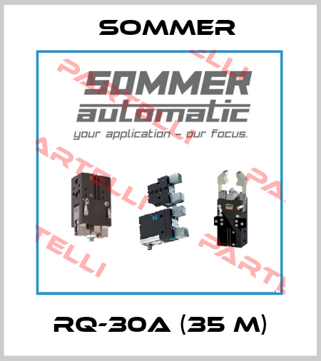 RQ-30a (35 m) Sommer