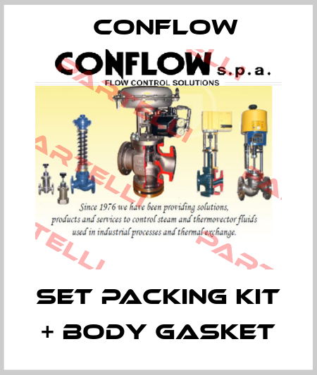Set packing kit + body gasket CONFLOW