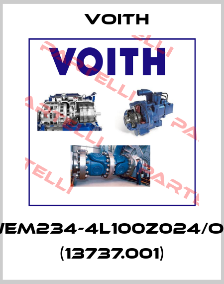 Wem234-4L100Z024/OH (13737.001) Voith