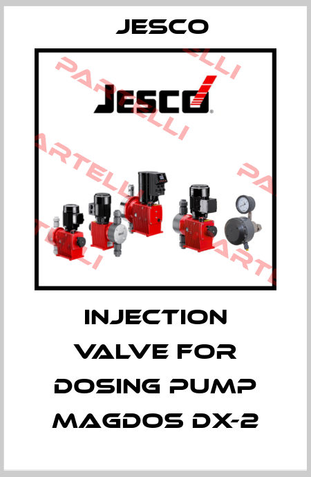 Injection valve for dosing pump Magdos DX-2 Jesco