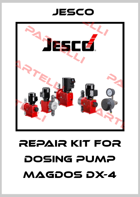 Repair kit for dosing pump Magdos DX-4 Jesco