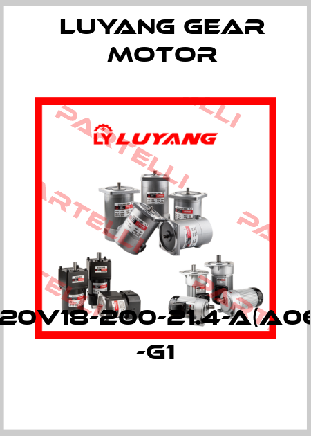 J220V18-200-21.4-A(A067) -G1 Luyang Gear Motor