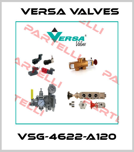 VSG-4622-A120 Versa Valves