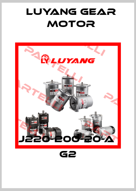 J220-200-20-A  G2 Luyang Gear Motor