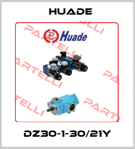 DZ30-1-30/21Y Huade