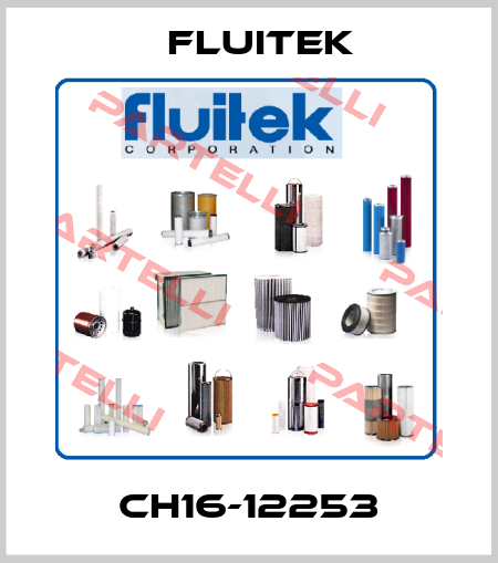 CH16-12253 FLUITEK