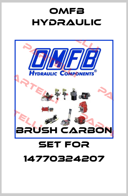 Brush carbon set for 14770324207 OMFB Hydraulic