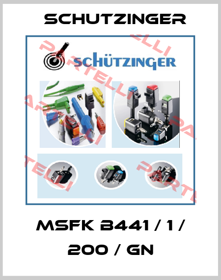 MSFK B441 / 1 / 200 / GN Schutzinger