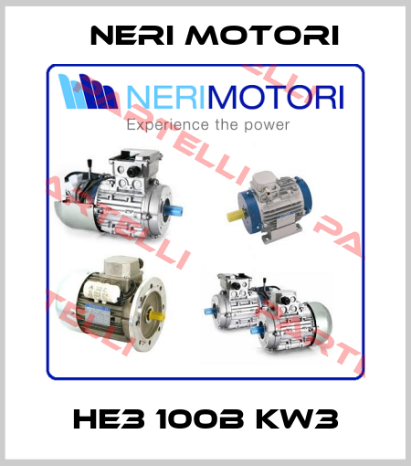HE3 100B kw3 Neri Motori