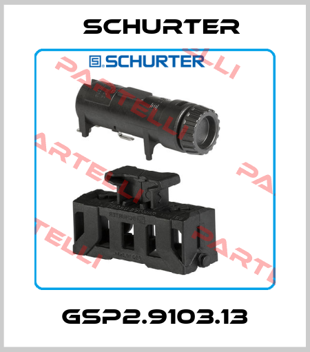 GSP2.9103.13 Schurter