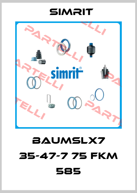 BAUMSLX7 35-47-7 75 FKM 585 SIMRIT
