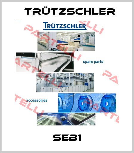 SEB1 Trützschler