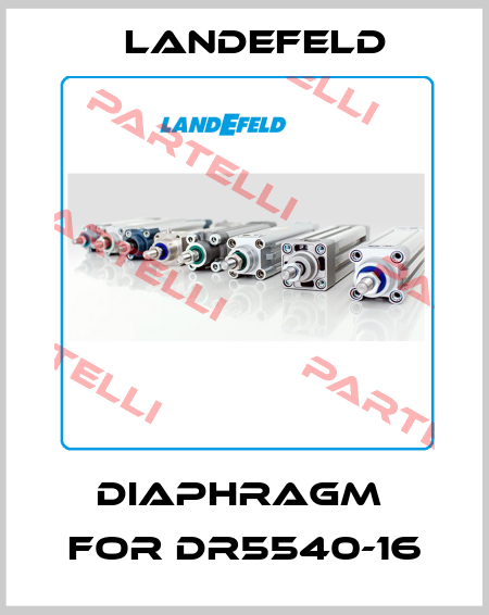 diaphragm  for DR5540-16 Landefeld