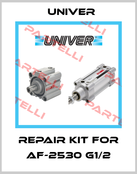 repair kit for AF-2530 G1/2 Univer