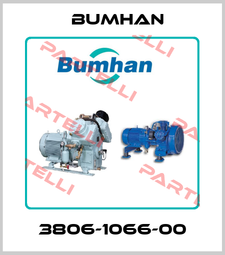 3806-1066-00 BUMHAN