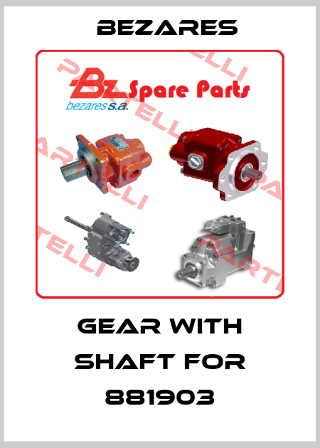 gear with shaft for 881903 Bezares