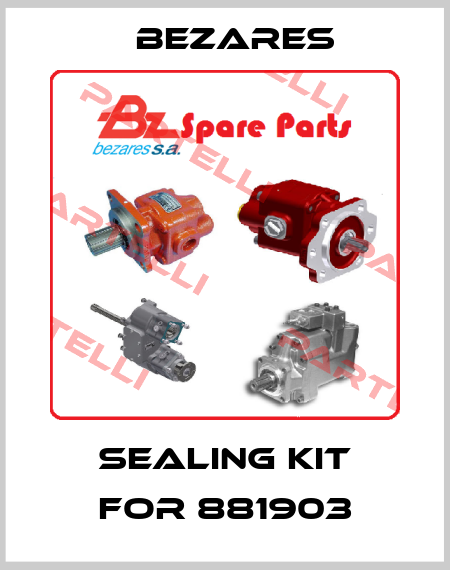 sealing kit for 881903 Bezares