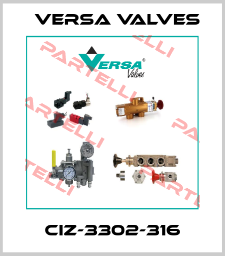 CIZ-3302-316 Versa Valves
