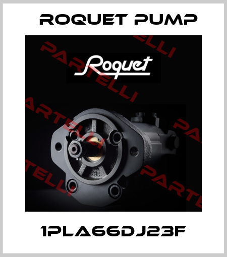1PLA66DJ23F Roquet pump