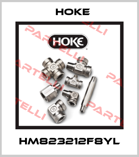 HM823212F8YL Hoke