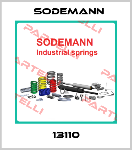 13110 Sodemann