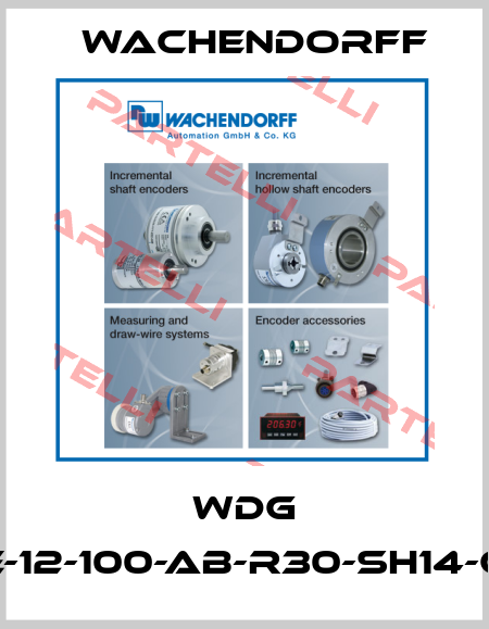 WDG 58E-12-100-AB-R30-SH14-G82 Wachendorff