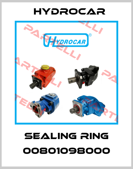 Sealing ring 00801098000 Hydrocar