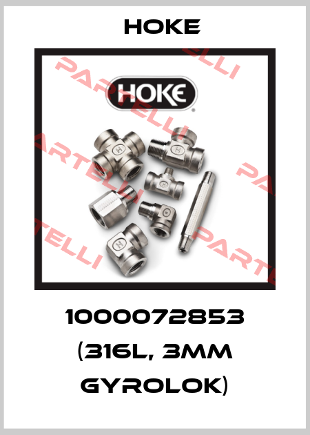 1000072853 (316L, 3MM GYROLOK) Hoke