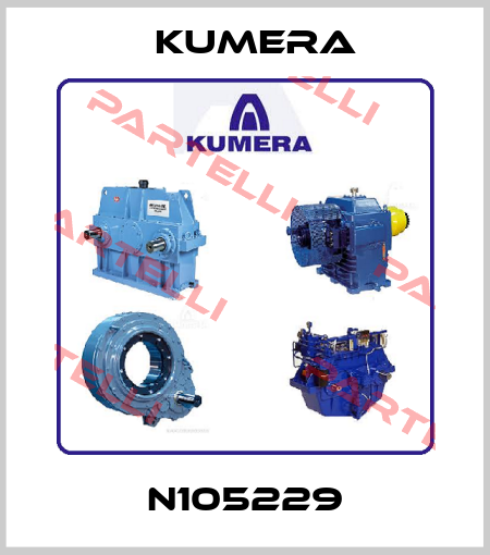N105229 Kumera
