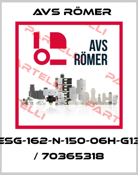 ESG-162-N-150-06h-G13 / 70365318 Avs Römer