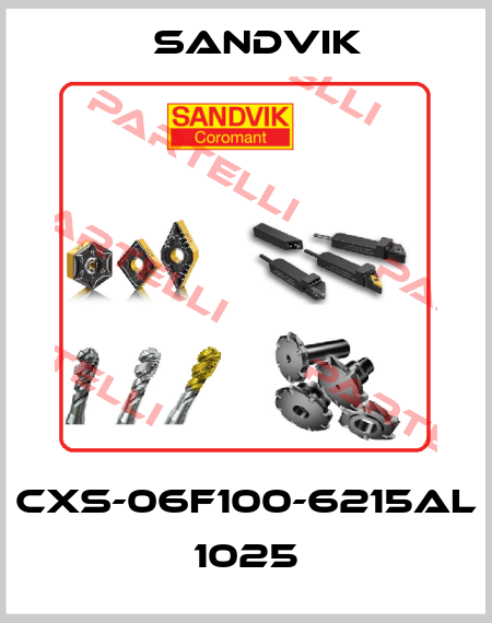 CXS-06F100-6215AL 1025 Sandvik