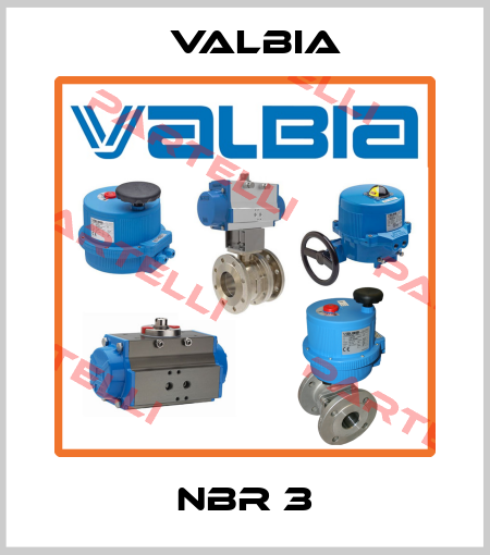 NBR 3 Valbia