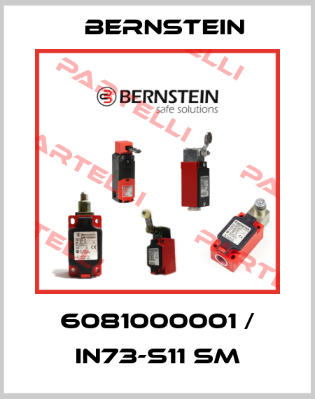 6081000001 / IN73-S11 SM Bernstein