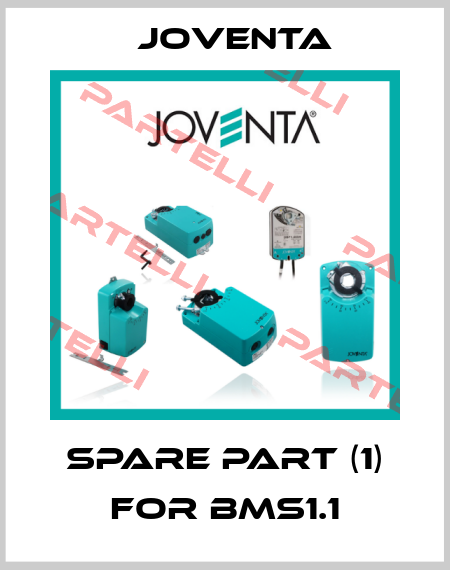 spare part (1) for BMS1.1 Joventa