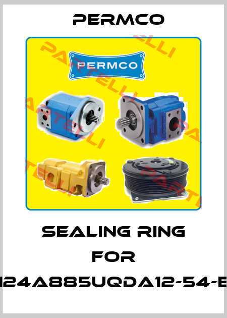 sealing ring for M124A885UQDA12-54-EPI Permco
