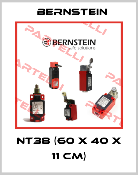 NT38 (60 x 40 x 11 cm) Bernstein