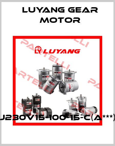 J230V15-100-15-C(A***) Luyang Gear Motor