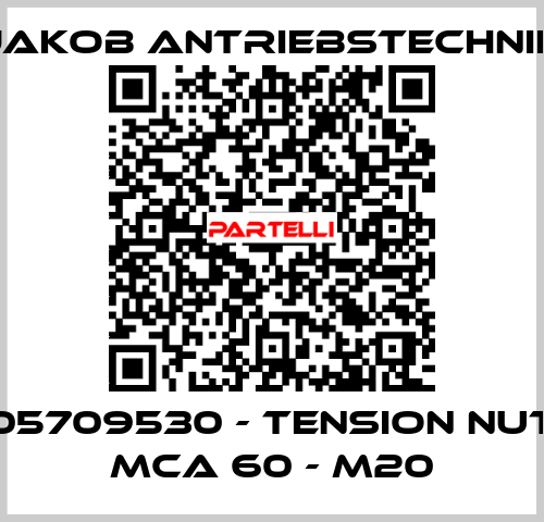 05709530 - Tension nut MCA 60 - M20 Jakob Antriebstechnik