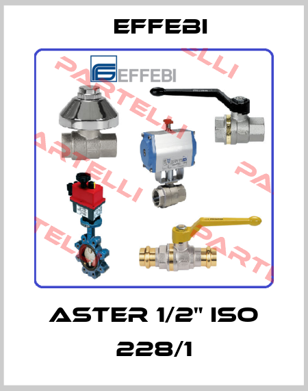 ASTER 1/2" ISO 228/1 Effebi