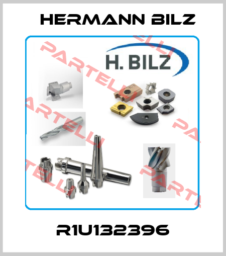 R1U132396 Hermann Bilz