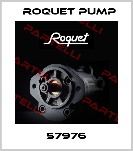 57976 Roquet pump
