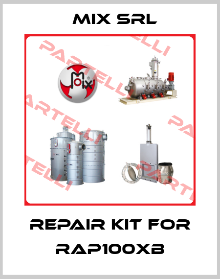 Repair kit for RAP100XB MIX Srl